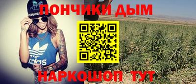ГАЛЛЮЦИНОГЕННЫЕ ГРИБЫ Краснокаменск