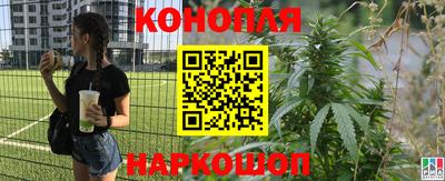 ГАЛЛЮЦИНОГЕННЫЕ ГРИБЫ Краснокаменск