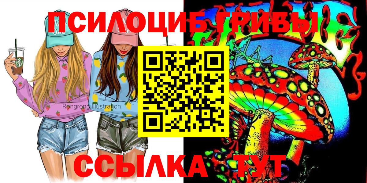 Псилоцибиновые грибы мицелий Ипатово